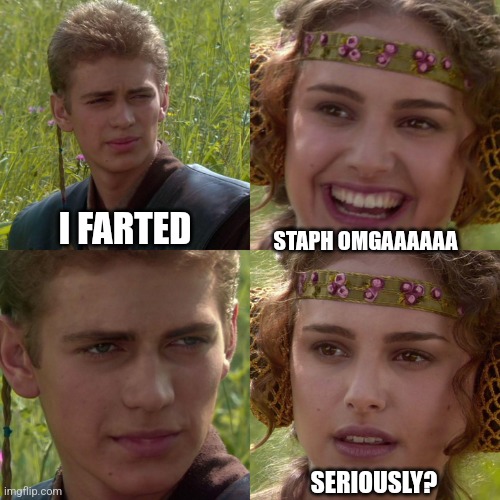 Anakin Padme 4 Panel | I FARTED; STAPH OMGAAAAAA; SERIOUSLY? | image tagged in anakin padme 4 panel,fart | made w/ Imgflip meme maker