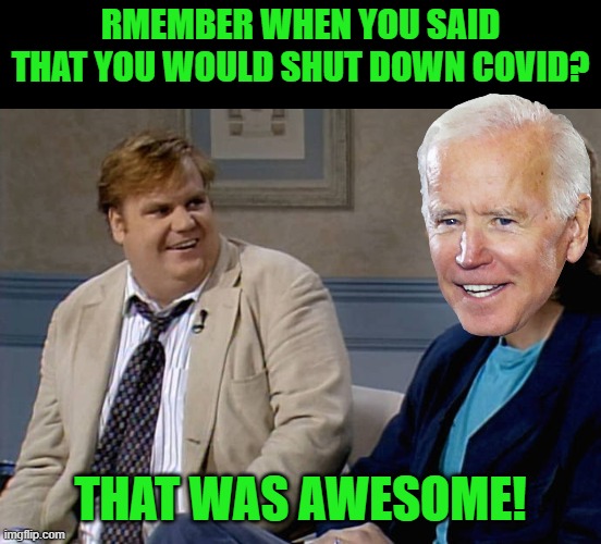 Remember that time | RMEMBER WHEN YOU SAID THAT YOU WOULD SHUT DOWN COVID? THAT WAS AWESOME! | image tagged in remember that time | made w/ Imgflip meme maker