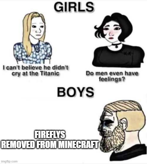 :( | FIREFLYS REMOVED FROM MINECRAFT | image tagged in do men even have feelings,funny | made w/ Imgflip meme maker