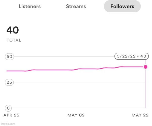Thanks for 40 followers on Spotify | made w/ Imgflip meme maker