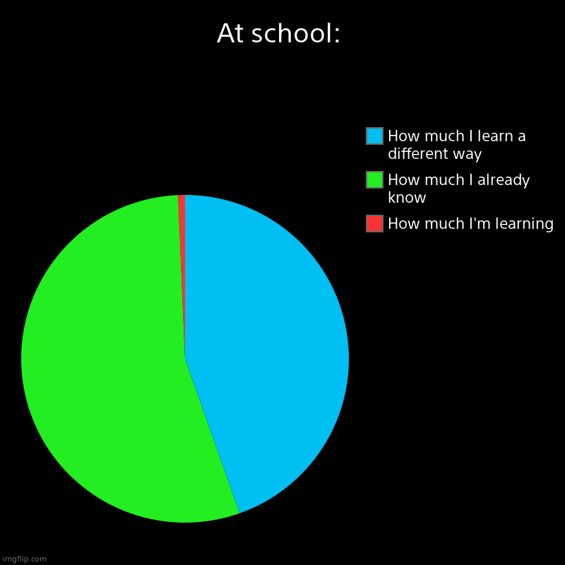 I learn NOTHING at school | At school: | How much I'm learning, How much I already know, How much I learn a different way | image tagged in charts,pie charts | made w/ Imgflip chart maker