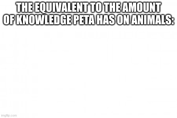 they be stupid | THE EQUIVALENT TO THE AMOUNT OF KNOWLEDGE PETA HAS ON ANIMALS: | image tagged in blank background | made w/ Imgflip meme maker