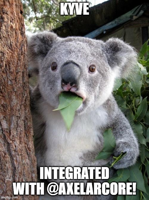 KYVE 3 |  KYVE; INTEGRATED WITH @AXELARCORE! | image tagged in memes,surprised koala | made w/ Imgflip meme maker