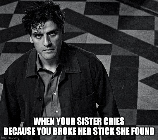 WHEN YOUR SISTER CRIES BECAUSE YOU BROKE HER STICK SHE FOUND | made w/ Imgflip meme maker