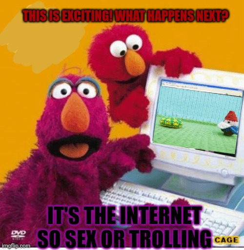 Internet problems | THIS IS EXCITING! WHAT HAPPENS NEXT? IT'S THE INTERNET SO SEX OR TROLLING | image tagged in internet,problems,telly,elmo,internet guide | made w/ Imgflip meme maker
