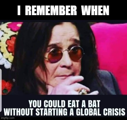 Ozzie | I  REMEMBER  WHEN | image tagged in bat | made w/ Imgflip meme maker