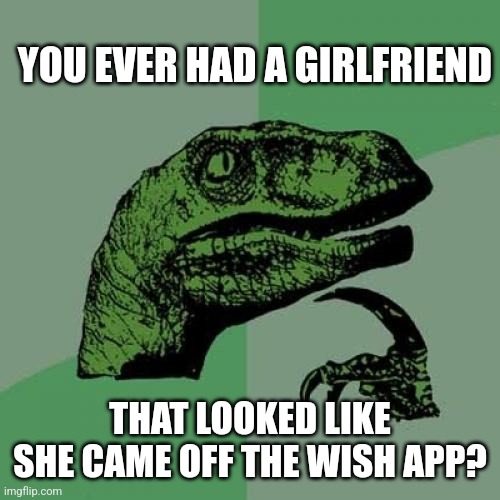 Philosoraptor | YOU EVER HAD A GIRLFRIEND; THAT LOOKED LIKE SHE CAME OFF THE WISH APP? | image tagged in memes,philosoraptor | made w/ Imgflip meme maker