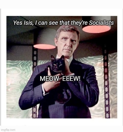 Assignment:Earth - A fave episode |  Yes Isis, I can see that they're Socialists; MEOW- EEEW! | image tagged in star trek,original,television series | made w/ Imgflip meme maker