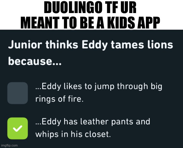 DUOLINGO TF UR MEANT TO BE A KIDS APP | image tagged in upvote begging | made w/ Imgflip meme maker