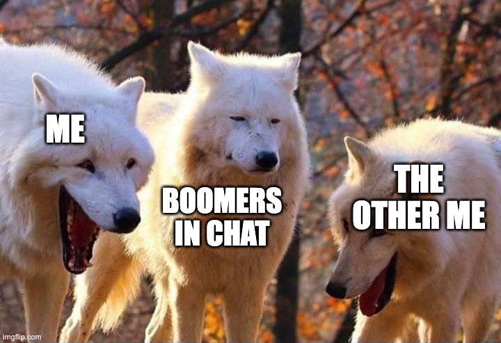 Laughing wolf | ME BOOMERS IN CHAT THE OTHER ME | image tagged in laughing wolf | made w/ Imgflip meme maker