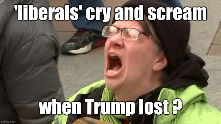 'liberal' 'adults' scream at the sky | 'liberals' cry and scream when Trump lost ? | image tagged in 'liberal' 'adults' scream at the sky | made w/ Imgflip meme maker