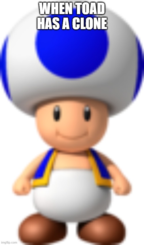 when toad has a clone |  WHEN TOAD HAS A CLONE | image tagged in blue toad,toad,mario,clones | made w/ Imgflip meme maker