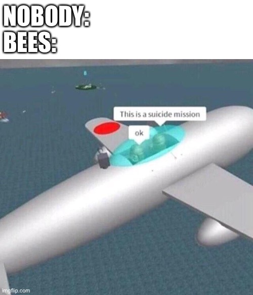 I have inserted an image title here | NOBODY:
BEES: | image tagged in this is a suicide mission ok | made w/ Imgflip meme maker