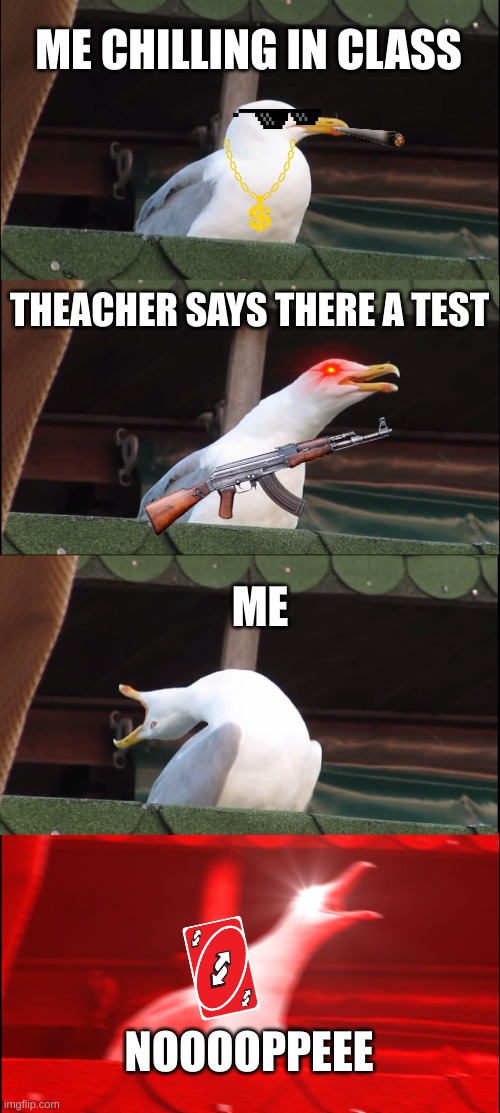 Inhaling Seagull |  ME CHILLING IN CLASS; THEACHER SAYS THERE A TEST; ME; NOOOOPPEEE | image tagged in memes,inhaling seagull | made w/ Imgflip meme maker