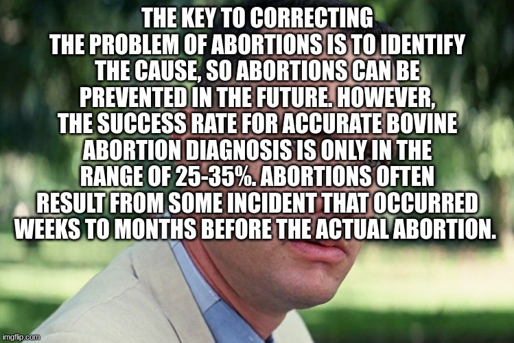 "Cows of Bashan" | THE KEY TO CORRECTING THE PROBLEM OF ABORTIONS IS TO IDENTIFY THE CAUSE, SO ABORTIONS CAN BE PREVENTED IN THE FUTURE. HOWEVER, THE SUCCESS RATE FOR ACCURATE BOVINE ABORTION DIAGNOSIS IS ONLY IN THE RANGE OF 25-35%. ABORTIONS OFTEN RESULT FROM SOME INCIDENT THAT OCCURRED WEEKS TO MONTHS BEFORE THE ACTUAL ABORTION. | image tagged in memes,and just like that | made w/ Imgflip meme maker