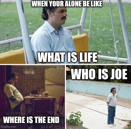Sad Pablo Escobar |  WHEN YOUR ALONE BE LIKE; WHAT IS LIFE; WHO IS JOE; WHERE IS THE END | image tagged in memes,sad pablo escobar | made w/ Imgflip meme maker