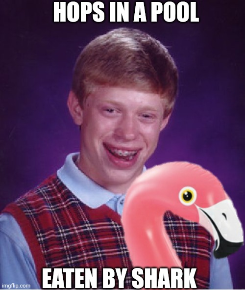 It's just bad luck | HOPS IN A POOL; EATEN BY SHARK | image tagged in bad luck brian | made w/ Imgflip meme maker