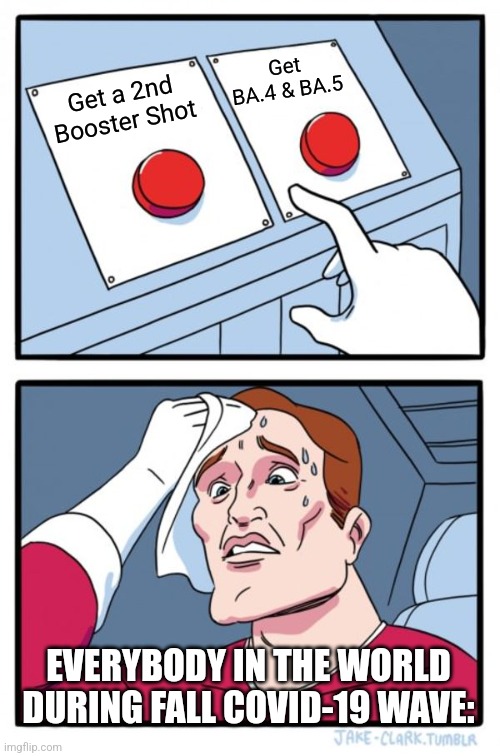 Hrm..... | Get BA.4 & BA.5; Get a 2nd Booster Shot; EVERYBODY IN THE WORLD DURING FALL COVID-19 WAVE: | image tagged in memes,two buttons,coronavirus,covid-19,fall | made w/ Imgflip meme maker