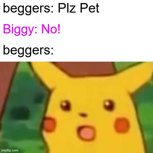 Every Roblox Game | beggers: Plz Pet; Biggy: No! beggers: | image tagged in memes,surprised pikachu | made w/ Imgflip meme maker