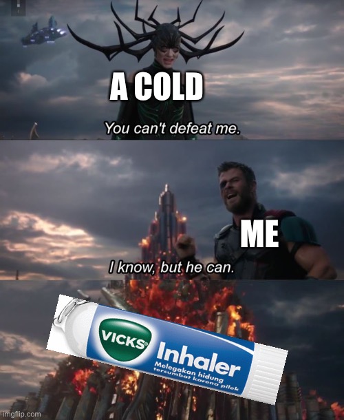 Thank you vicks | A COLD; ME | image tagged in you can't defeat me,so true meme | made w/ Imgflip meme maker