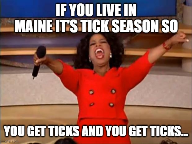 Tick tock | IF YOU LIVE IN MAINE IT'S TICK SEASON SO; YOU GET TICKS AND YOU GET TICKS... | image tagged in memes,oprah you get a | made w/ Imgflip meme maker