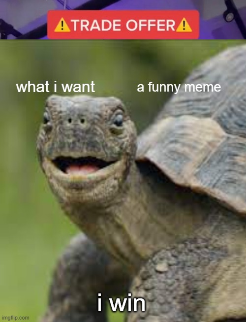 turtle | what i want; a funny meme; i win | image tagged in funny memes | made w/ Imgflip meme maker