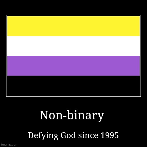 Fun fact: the term "non-binary" was coined in 1995. Although non-binary has been around since the dawn of time technically | image tagged in funny,demotivationals,non binary | made w/ Imgflip demotivational maker