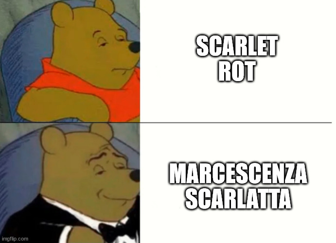 Fancy Winnie The Pooh Meme | SCARLET ROT; MARCESCENZA SCARLATTA | image tagged in fancy winnie the pooh meme | made w/ Imgflip meme maker