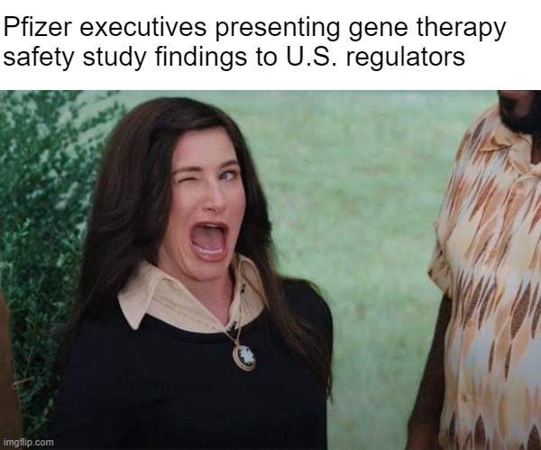 * slides folded up million-dollar bill across table | Pfizer executives presenting gene therapy 
safety study findings to U.S. regulators | image tagged in wandavision agnes wink | made w/ Imgflip meme maker