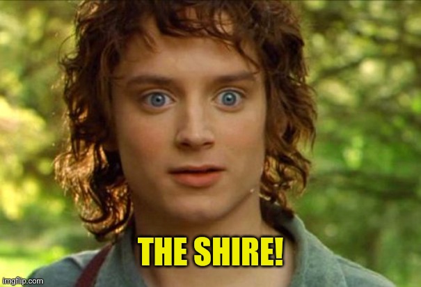 Surpised Frodo Meme | THE SHIRE! | image tagged in memes,surpised frodo | made w/ Imgflip meme maker