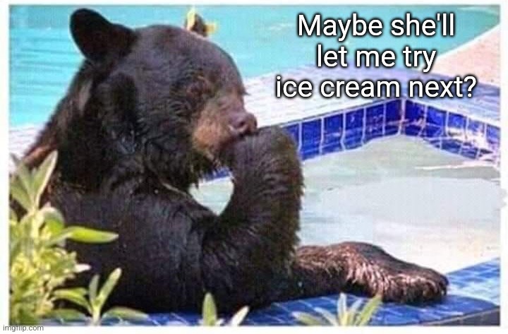 Thinking bear | Maybe she'll let me try ice cream next? | image tagged in thinking bear | made w/ Imgflip meme maker