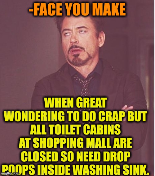 -Not anywhere else. | -FACE YOU MAKE; WHEN GREAT WONDERING TO DO CRAP BUT ALL TOILET CABINS AT SHOPPING MALL ARE CLOSED SO NEED DROP POOPS INSIDE WASHING SINK. | image tagged in memes,face you make robert downey jr,toilet humor,girls poop too,sink,diarrhea | made w/ Imgflip meme maker