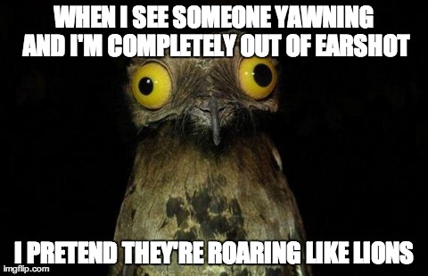 Weird Stuff I Do Potoo Meme | WHEN I SEE SOMEONE YAWNING AND I'M COMPLETELY OUT OF EARSHOT I PRETEND THEY'RE ROARING LIKE LIONS | image tagged in memes,weird stuff i do potoo | made w/ Imgflip meme maker