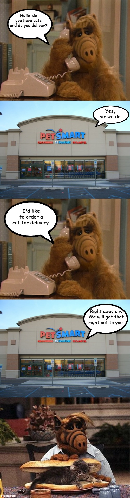 Alf Orders Out | Hello, do you have cats and do you deliver? Yes, 
sir we do. I'd like to order a cat for delivery. Right away sir. We will get that right out to you. | image tagged in alf on the phone,memes,funny memes | made w/ Imgflip meme maker