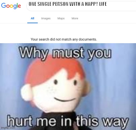 ONE SINGLE PERSON WITH A HAPPY LIFE | image tagged in google no results,why must you hurt me in this way | made w/ Imgflip meme maker