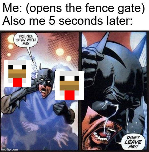 Vat do they have against me |  Me: (opens the fence gate)
Also me 5 seconds later: | image tagged in batman don't leave me,minecraft,funny,batman,relatable,lol | made w/ Imgflip meme maker