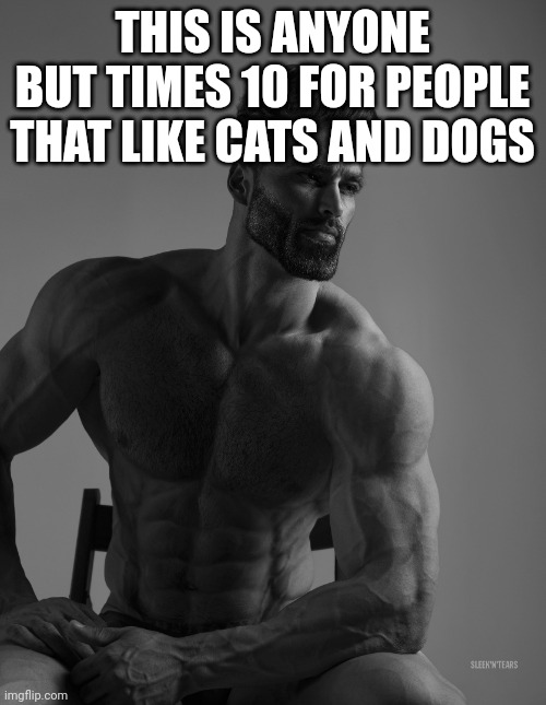Giga Chad | THIS IS ANYONE BUT TIMES 10 FOR PEOPLE THAT LIKE CATS AND DOGS | image tagged in giga chad | made w/ Imgflip meme maker