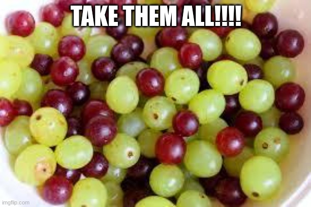 Grapes... | TAKE THEM ALL!!!! | image tagged in grapes | made w/ Imgflip meme maker