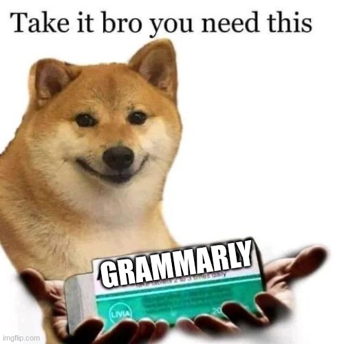 Take it bro you need this | GRAMMARLY | image tagged in take it bro you need this | made w/ Imgflip meme maker