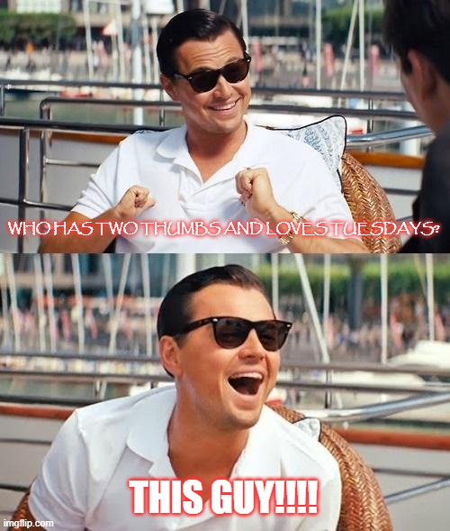 Leonardo Dicaprio Wolf Of Wall Street |  WHO HAS TWO THUMBS AND LOVES TUESDAYS? THIS GUY!!!! | image tagged in memes,leonardo dicaprio wolf of wall street,tuesdays,two thumbs,love | made w/ Imgflip meme maker