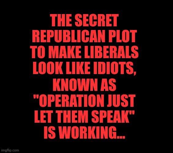 THE SECRET REPUBLICAN PLOT TO MAKE LIBERALS LOOK LIKE IDIOTS, KNOWN AS "OPERATION JUST LET THEM SPEAK" IS WORKING... | made w/ Imgflip meme maker