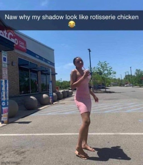 chicken shadow | image tagged in shadow,chicken | made w/ Imgflip meme maker