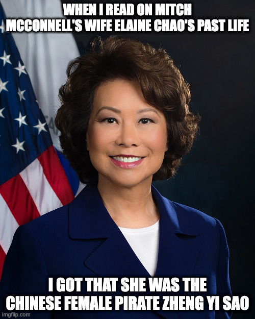 Elaine Chao | WHEN I READ ON MITCH MCCONNELL'S WIFE ELAINE CHAO'S PAST LIFE; I GOT THAT SHE WAS THE CHINESE FEMALE PIRATE ZHENG YI SAO | image tagged in politics,memes,elaine chao | made w/ Imgflip meme maker