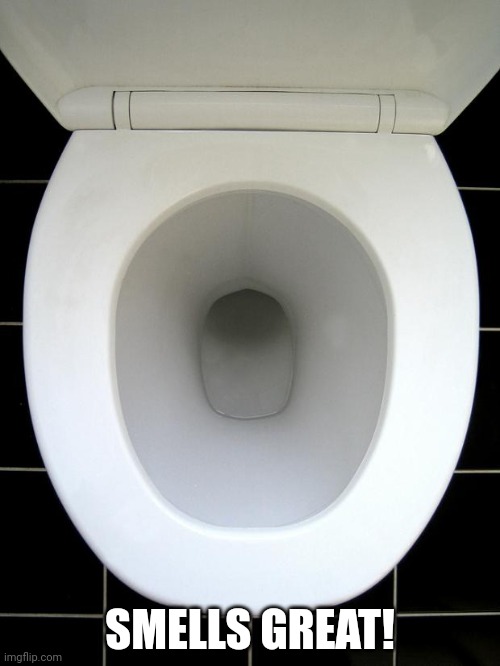 TOILET | SMELLS GREAT! | image tagged in toilet | made w/ Imgflip meme maker