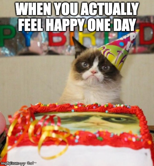 cat finally has fun | WHEN YOU ACTUALLY FEEL HAPPY ONE DAY | image tagged in memes,grumpy cat birthday,grumpy cat | made w/ Imgflip meme maker