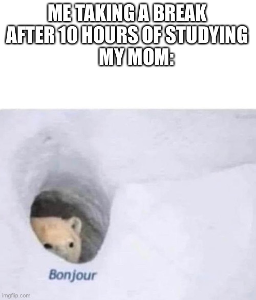 Relatable |  ME TAKING A BREAK AFTER 10 HOURS OF STUDYING
     MY MOM: | image tagged in bonjour,relatable | made w/ Imgflip meme maker