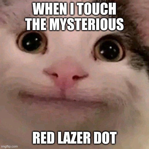 Beluga | WHEN I TOUCH THE MYSTERIOUS; RED LAZER DOT | image tagged in beluga | made w/ Imgflip meme maker