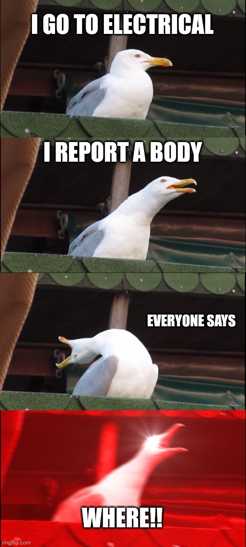 Where! | I GO TO ELECTRICAL; I REPORT A BODY; EVERYONE SAYS; WHERE!! | image tagged in memes,inhaling seagull,among us,funny | made w/ Imgflip meme maker