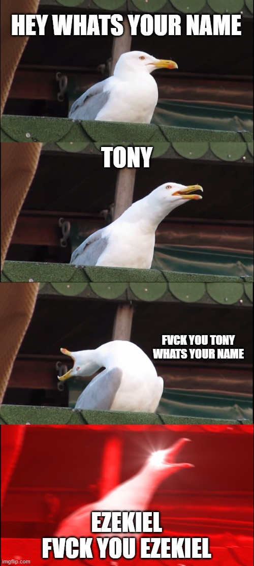 Inhaling Seagull Meme | HEY WHATS YOUR NAME; TONY; FVCK YOU TONY



WHATS YOUR NAME; EZEKIEL

FVCK YOU EZEKIEL | image tagged in memes,inhaling seagull | made w/ Imgflip meme maker