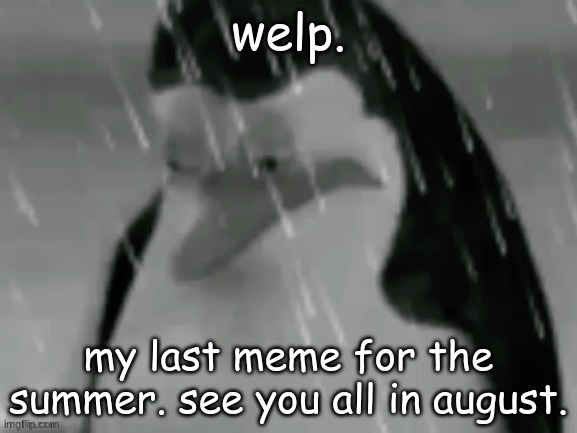 the sad | welp. my last meme for the summer. see you all in august. | image tagged in the sad | made w/ Imgflip meme maker